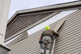 Best Stucco Siding  in Goodrich, MI